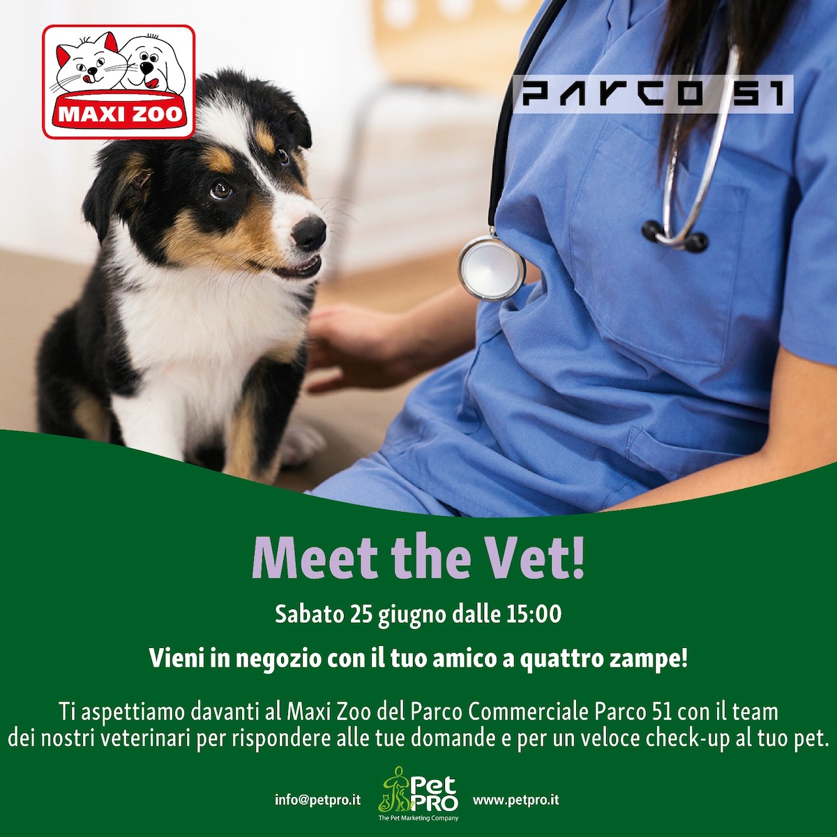 Meet the vet!